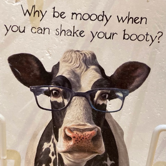 JUST HOLLA - Flexible Morning schedule EST; Live, Pop ups & Silent shows. - Picture 8 of 14